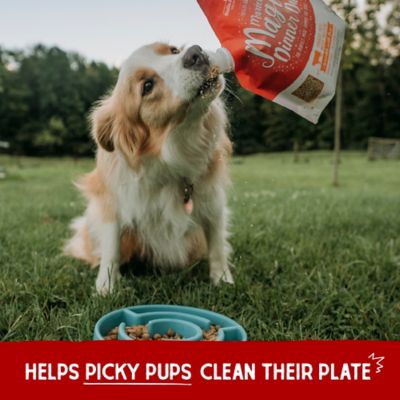 Image showing 7 th Stella & Chewy's Magical Dinner Dust Freeze-Dried Raw Grass-Fed Beef Recipe Dog Food Topper