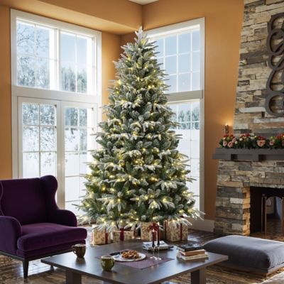 Image showing 7 ft. Pre-Lit Flocked Fraser Fir Full Artificial Christmas Tree