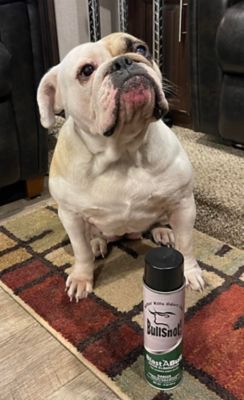 Image showing  BlastABull Odor Eliminator