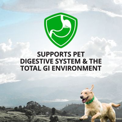 Image showing  Probiotic Powder Supplement Sachets for Dogs, 1.06 oz., 30 ct.