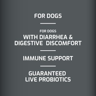 Image showing  Probiotic Powder Supplement Sachets for Dogs, 1.06 oz., 30 ct.