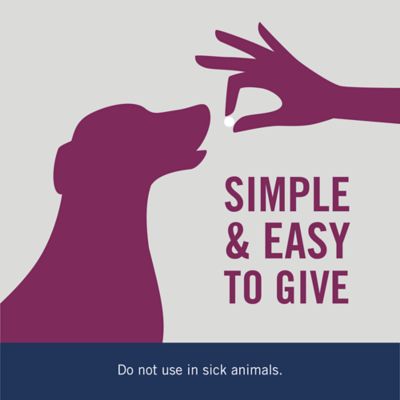 Image showing  7 Way De-Wormer For Medium and Large Dogs, 6 count