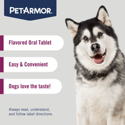 Image showing 5 th PetArmor 7 Way Dewormer For Medium and Large Dogs