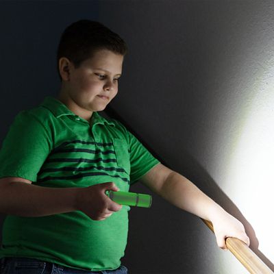 Image showing  120-Lumen Glow-in-the-Dark Flashlights, 2-Pack