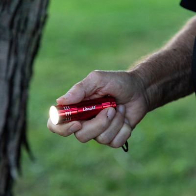 Image showing 6 th LitezAll Aluminum Pocket Flashlight, 6 pk.