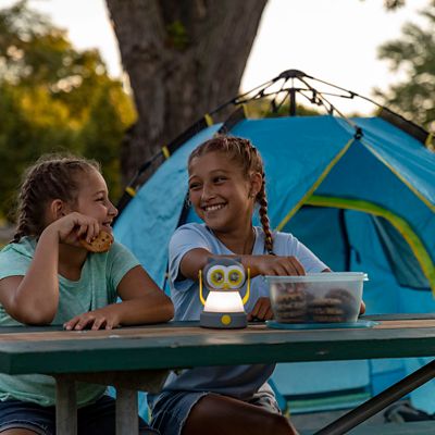 Image showing 5 th LitezAll Owl Themed Headlamp and Lantern Combo