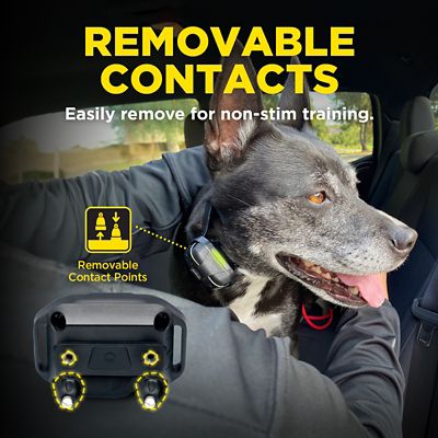 Image showing  280X 1-Dog Unit E-Collar
