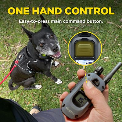 Image showing 5 th Dogtra 280X 1-Dog Unit E-Collar