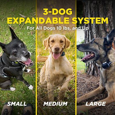 Image showing 9 th Dogtra 280X 1-Dog Unit E-Collar