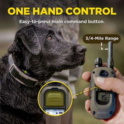 Image showing  1900X 1-Dog Unit E-Collar