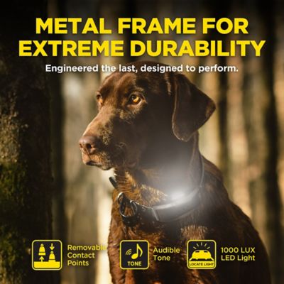 Image showing 6 th Dogtra 1900X 1-Dog Unit E-Collar