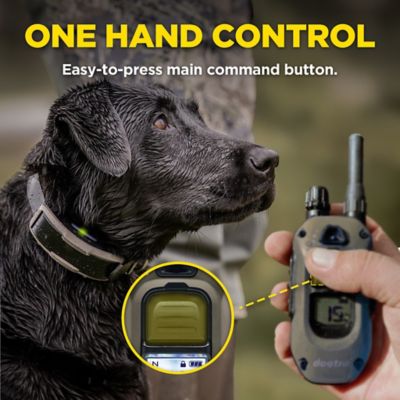Image showing  1900X 2-Dog Unit E-Collar
