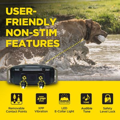 Image showing  1900X 2-Dog Unit E-Collar