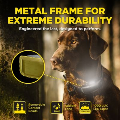 Image showing 7 th Dogtra 1900X 2-Dog Unit E-Collar