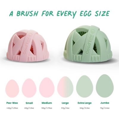 Image showing  Brush Standard Sized Eggs