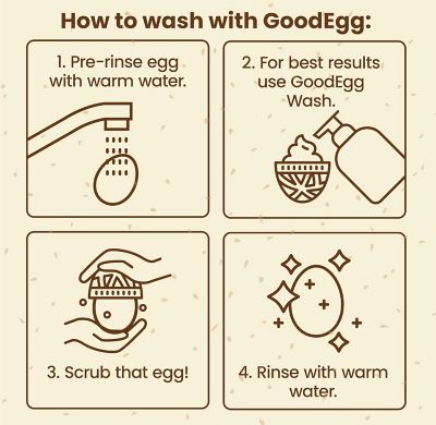 Image showing  Brush Standard Sized Eggs