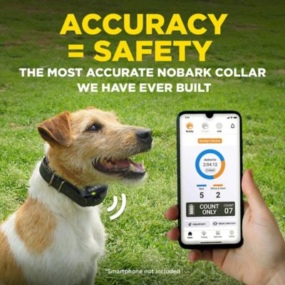 Image showing  Smart Nobark Bark Collar