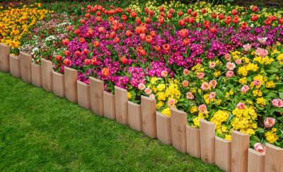 Image showing  Cedar Wood Landscape Edging