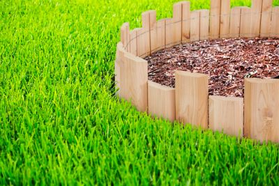 Image showing  Cedar Wood Landscape Edging