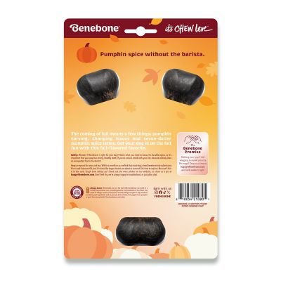 Image showing  Wishbone Pumpkin Spice Medium Dog Toy