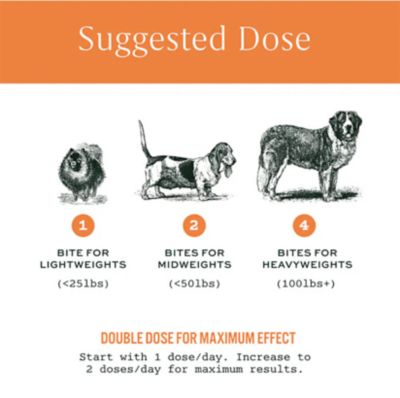 Image showing  Mobility Bites for Dogs - 100 ct.