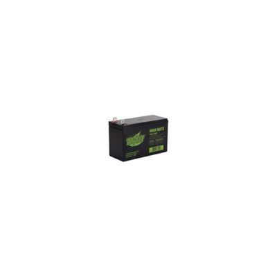 Interstate Batteries 12V 9Ah Replacement Battery