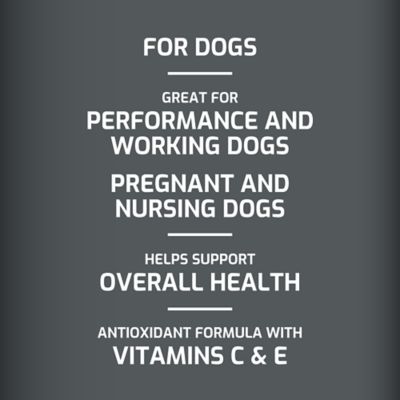 Image showing  High Calorie Oil Supplement for Dogs, 32 oz.
