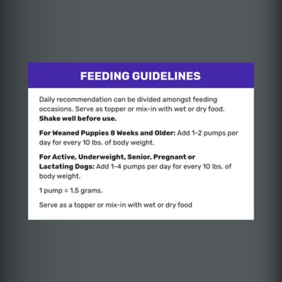 Image showing  High Calorie Oil Supplement for Dogs, 32 oz.