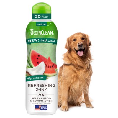 Image showing  Watermelon Refreshing 2-in-1 Shampoo and Conditioner, 20 oz.