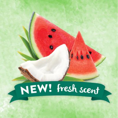 Image showing  Watermelon Refreshing 2-in-1 Shampoo and Conditioner, 20 oz.