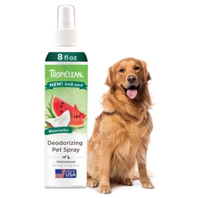 Image showing  Watermelon Deodorizing Spray, 8 oz.
