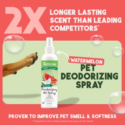Image showing  Watermelon Deodorizing Spray, 8 oz.