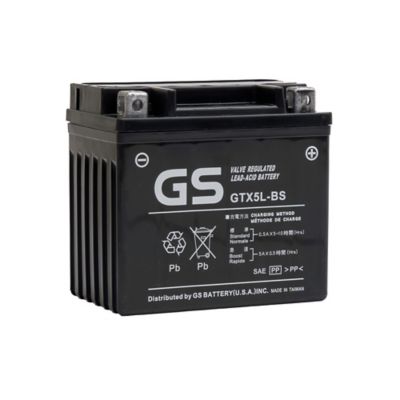 Massimo Mini 125 Starting CtX5L-BS Battery