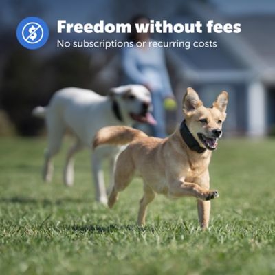 Image showing  Guardian GPS Add-A-Dog Collar