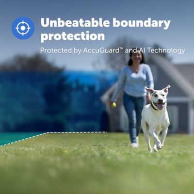 Image showing  Guardian GPS Dog Fence
