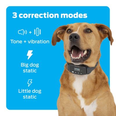 Image showing  GPS Dog Fence with Circular Wireless Boundary