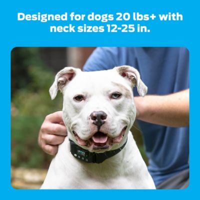 Image showing 5 th Premier Pet GPS Dog Fence with Circular Wireless Boundary