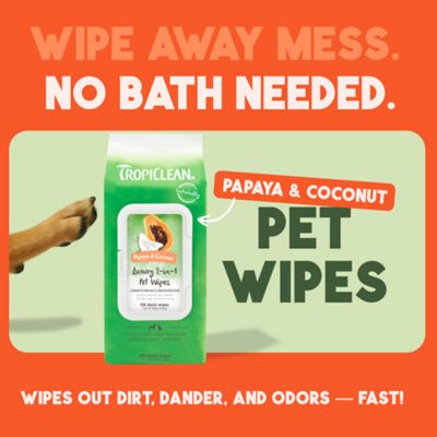 Image showing 5 th TropiClean Papaya & Coconut Luxury 2-in-1 Pet Wipes, 100 ct.