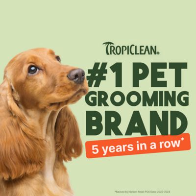 Image showing 6 th TropiClean Papaya & Coconut Luxury 2-in-1 Pet Wipes, 100 ct.