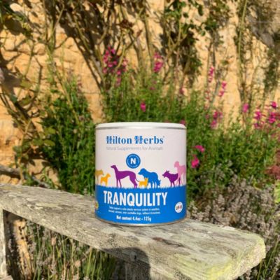 Image showing  Tranquility Natural Herbal Dog Supplement, 4.4 oz.