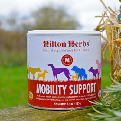Image showing  Mobility Support Natural Herbal Dog Supplement, 4.4 oz.