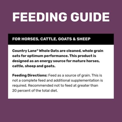 Image showing  Whole Oats Livestock Feed, 40 lb. Bag