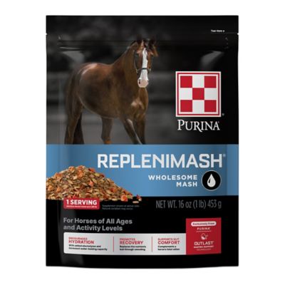 Image showing  RepleniMash Horse Product