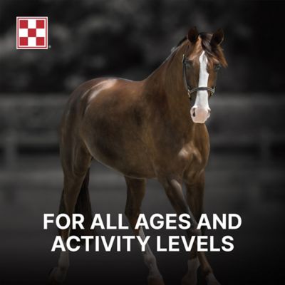 Image showing  RepleniMash Horse Product