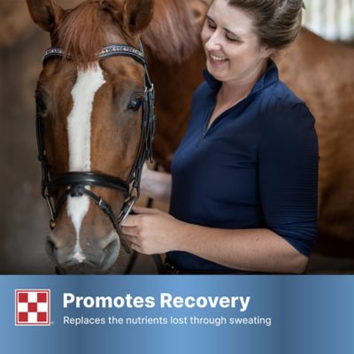 Image showing 5 th Purina RepleniMash Horse Product