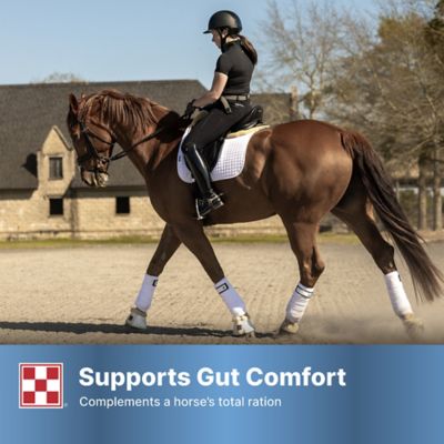 Image showing 6 th Purina RepleniMash Horse Product