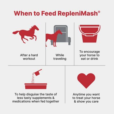 Image showing 8 th Purina RepleniMash Horse Product