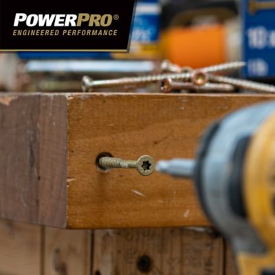 Image showing  #10 x 4 in. Power Pro Premium Exterior Wood Screws, 5 lb.