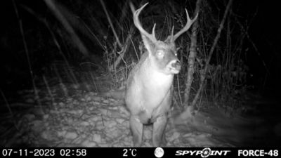 Image showing 9 th SPYPOINT Force-48 Game Trail Camera