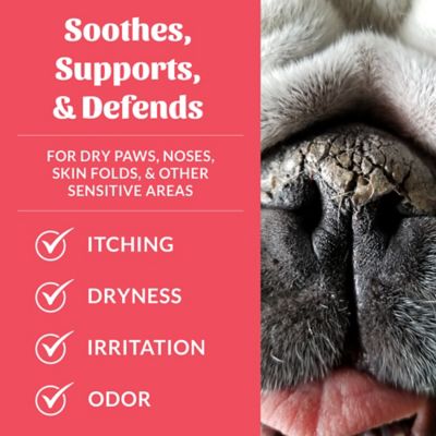 Image showing  Prebiotic Pet Balm 2 oz.